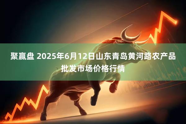 聚赢盘 2025年6月12日山东青岛黄河路农产品批发市场价格行情