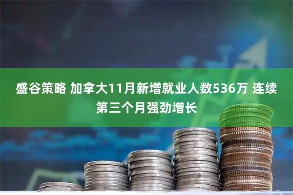 盛谷策略 加拿大11月新增就业人数536万 连续第三个月强劲增长