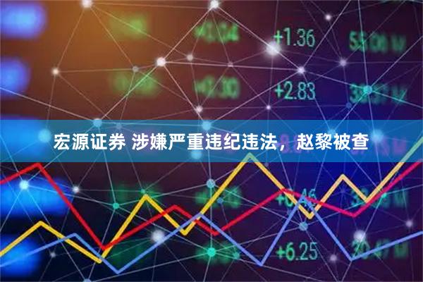 宏源证券 涉嫌严重违纪违法，赵黎被查
